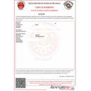Emissão e/ou Regularização de A.V.C.B Auto de Vistoria do Corpo De Bombeiro - 300
