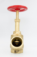 REGISTRO GLOBO IND. 300LBS - 2 1/2" 11 BSP X 5 FPP LATAO - 7684